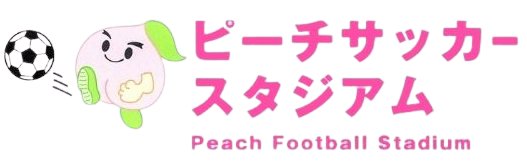 堺市個人参加フットサルご紹介｜ピーチサッカースタジアム